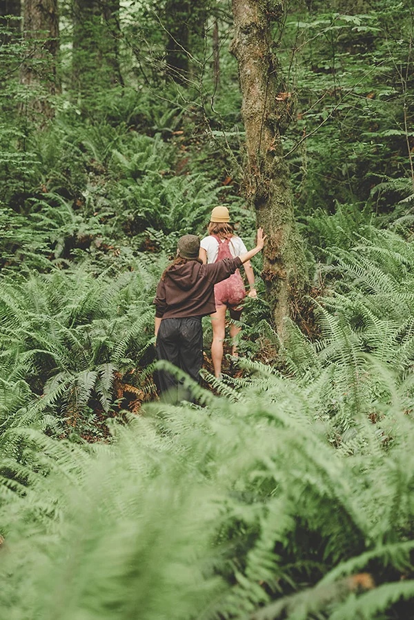 Forest Adventure
